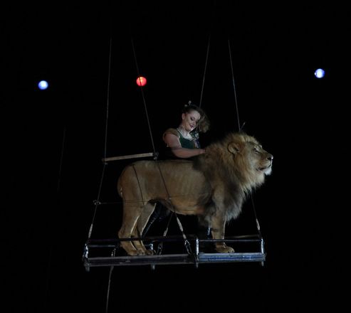 Летающий медведь и &laquo;Колесо смелости&raquo;: нижегородский цирк приглашает в &laquo;Звездный круиз&raquo; (ФОТО) - фото 11