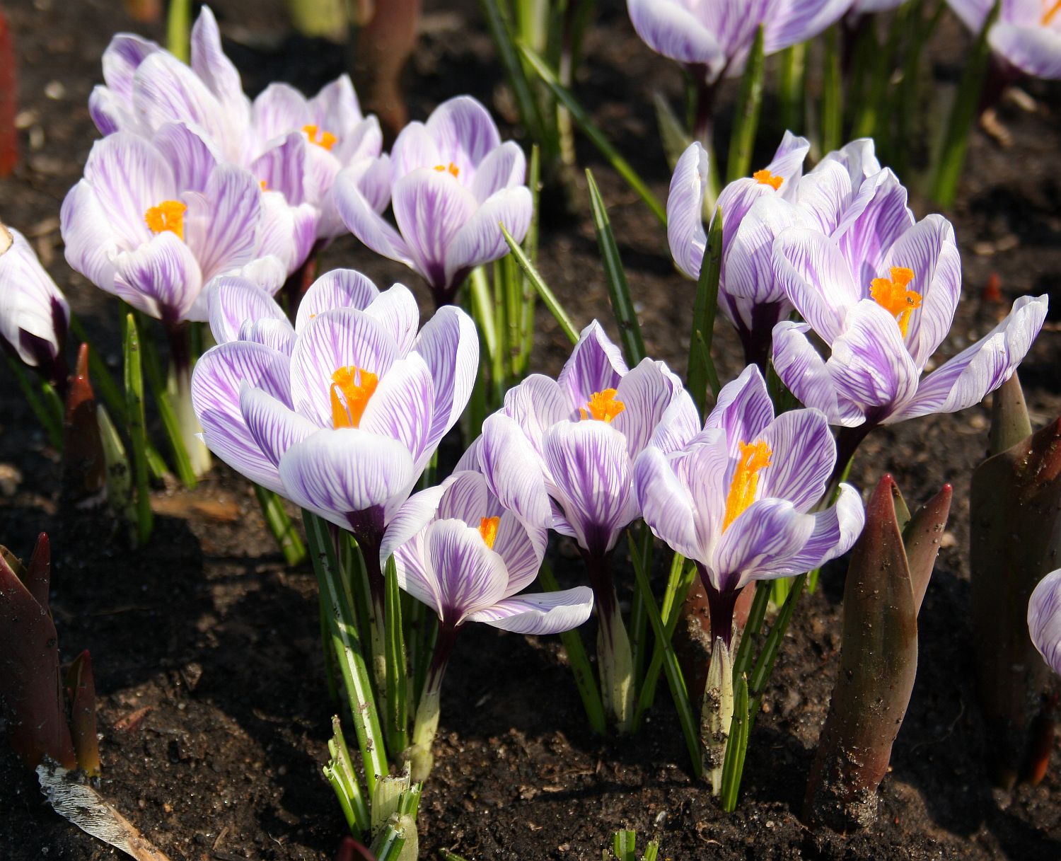 Весна в Нижегородскую область придет только в апреле