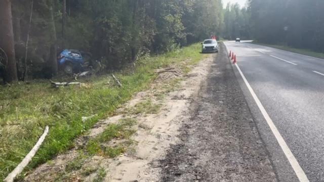 Трое пострадали в ДТП в Нижегородской области из-за уснувшего водителя - фото 1