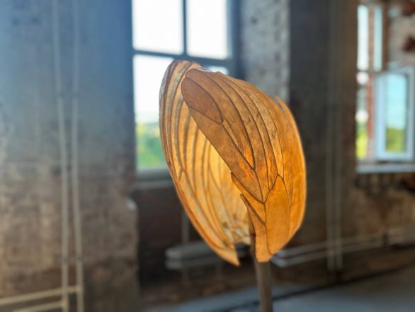 «Кожа Земли»: в Нижнем Новгороде проходит первая международная ЭкоБиеннале - фото 12