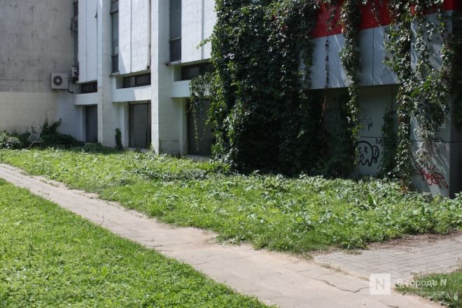 От бараков до сталинского ампира: чем удивляет Калининский микрорайон в Нижнем Новгороде &mdash; фоторепортаж - фото 95