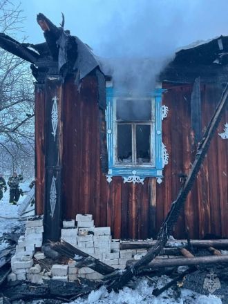 Страшный пожар унес две жизни в Нижегородской области - фото 4