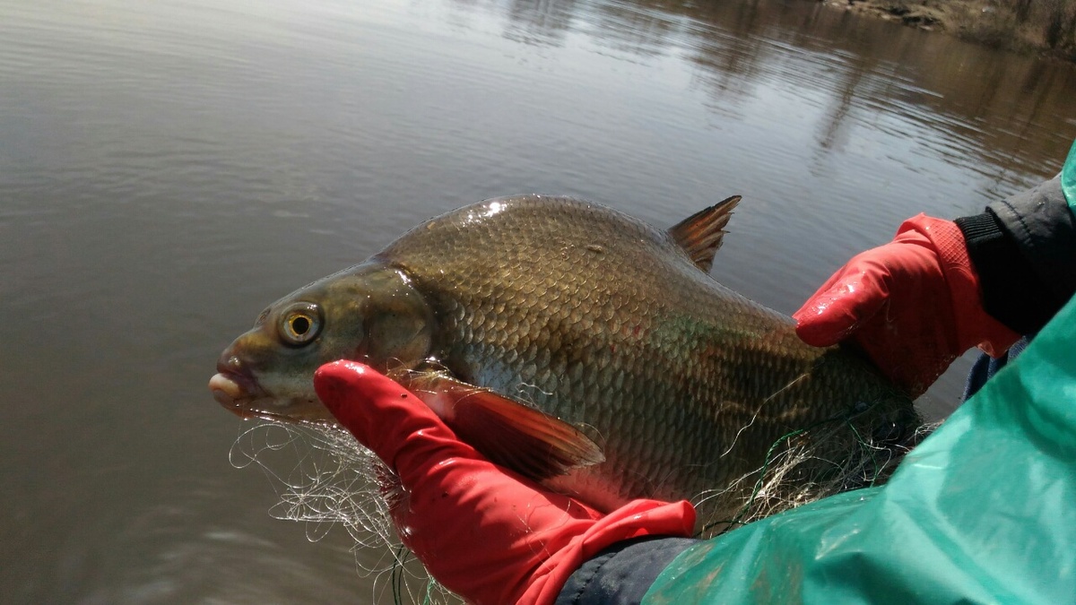 рыбалка на водоемах нижегородской области