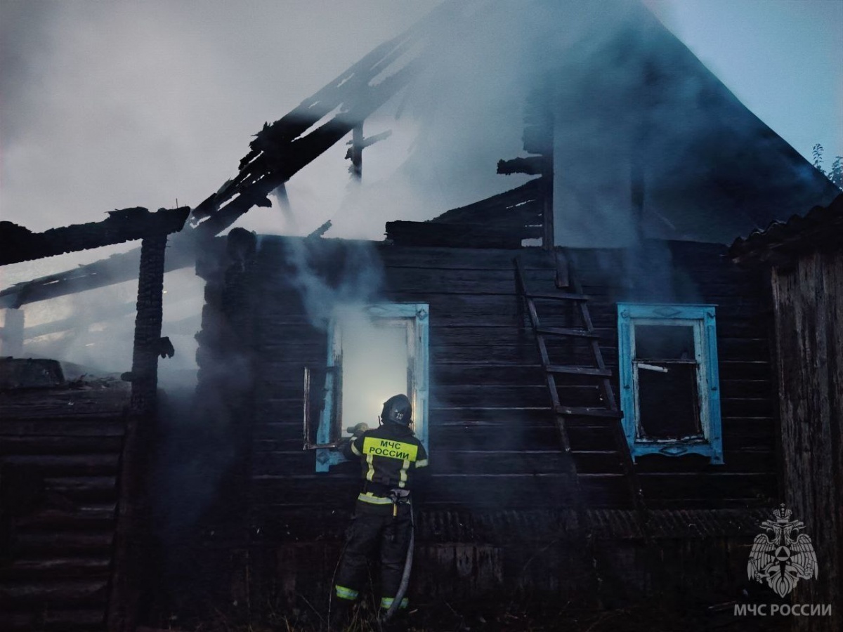 Труп мужчины нашли в сгоревшем доме в Нижегородской области  - фото 1