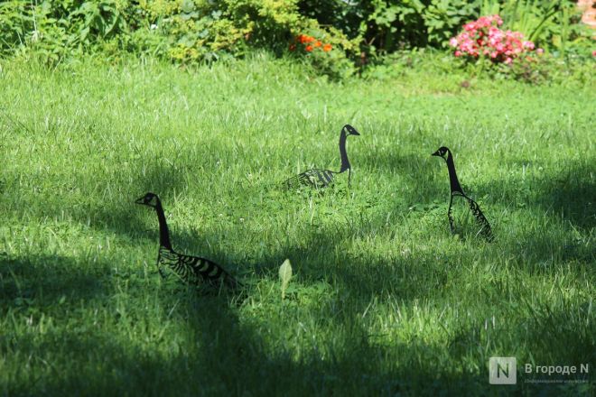 Карта новых арт-объектов Нижнего Новгорода: как они выглядят и где их искать - фото 45