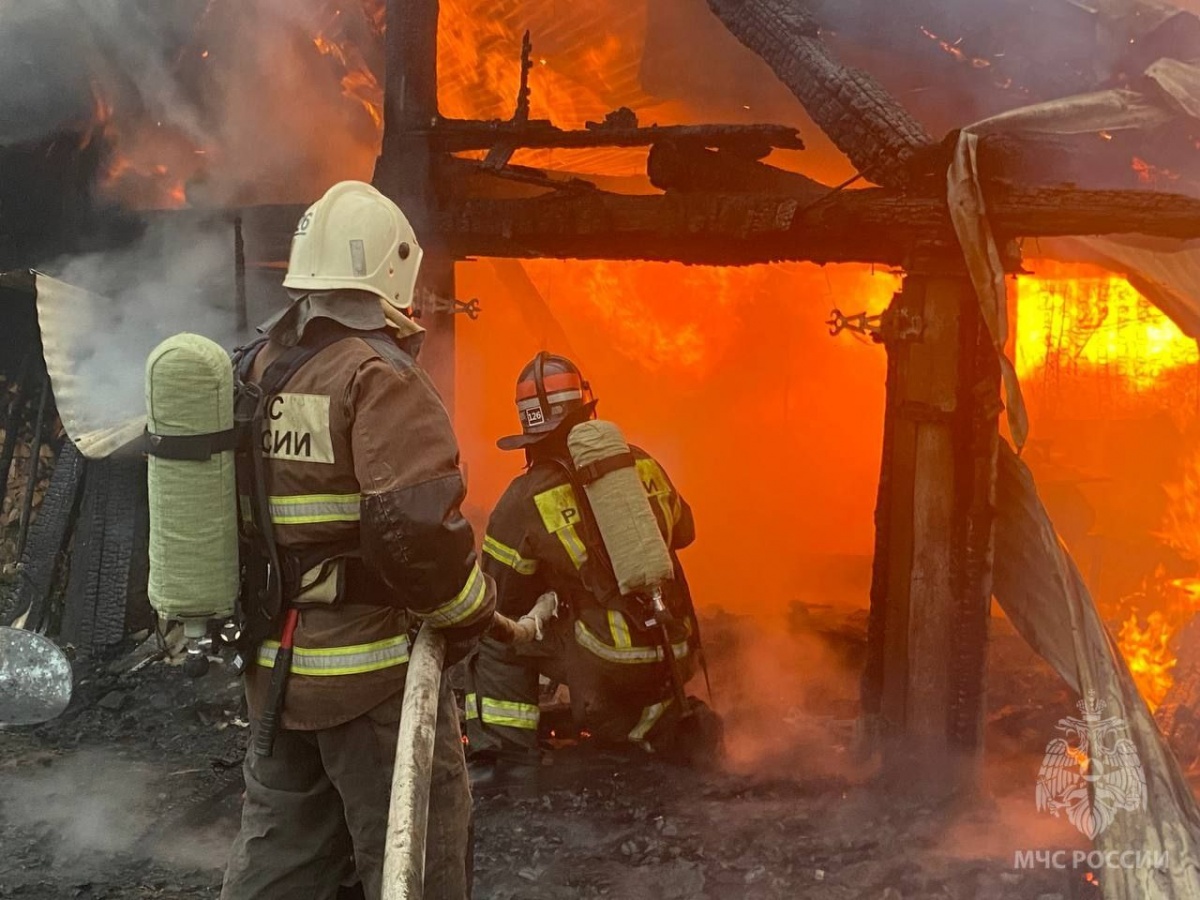 Тело женщины нашли в сгоревшем доме в Нижегородской области - фото 1
