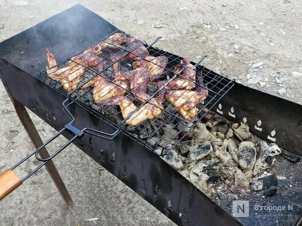 Нижегородский диетолог рассказала, чем полезен шашлык