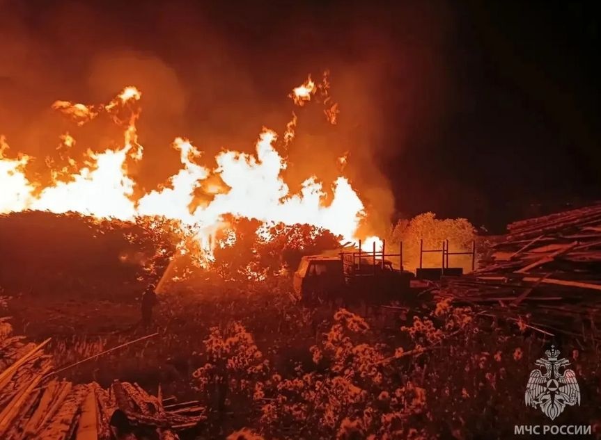 Стали известны подробности мощного пожара на пилораме в Нижегородской области - фото 1