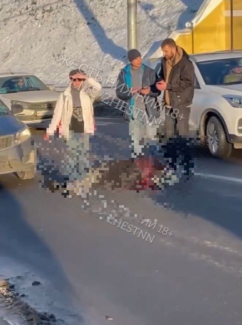Соцсети: автомобиль сбил человека в центре Нижнего Новгорода - фото 1