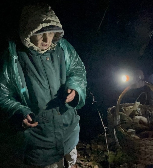 Увлеченная сбором грибов нижегородская пенсионерка потерялась в лесу - фото 1