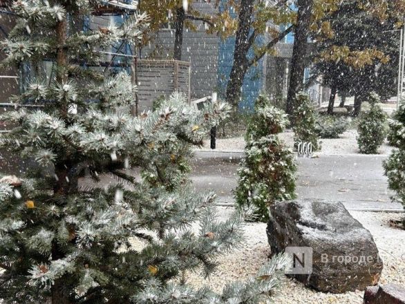 Такси за 2 000 рублей и обесточенные дома: снежная буря пришла в Нижегородскую область - фото 6