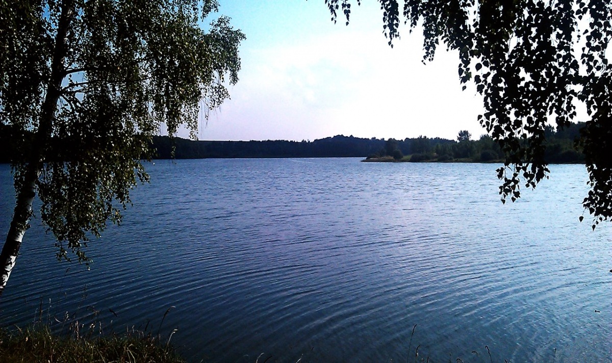 Стали известны подробности трагедии на озере в Богородском районе, где погибли родители ребенка - фото 1