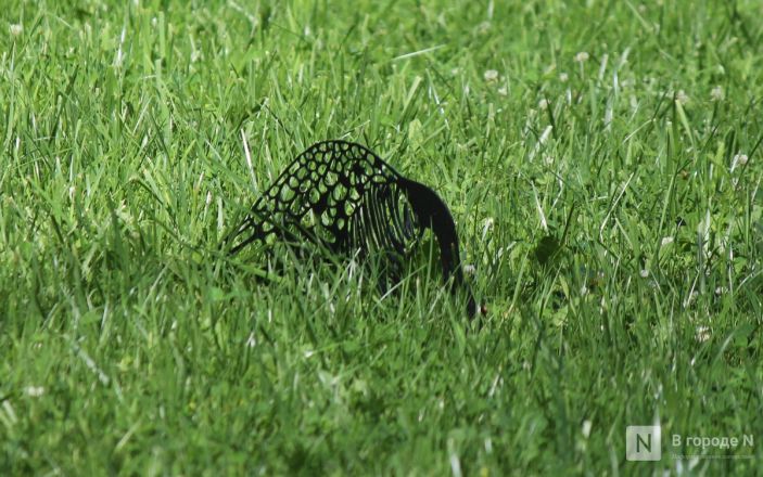 Карта новых арт-объектов Нижнего Новгорода: как они выглядят и где их искать - фото 43