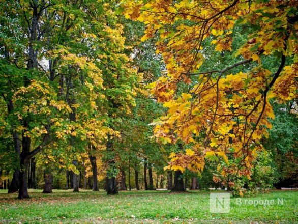 Та самая пушкинская осень: уютный фоторепортаж из Большого Болдина - фото 60