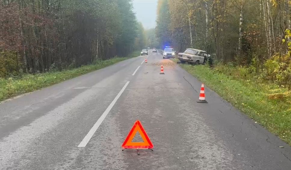 Водитель уснул за рулем и попал в ДТП в Нижегородской области - фото 1