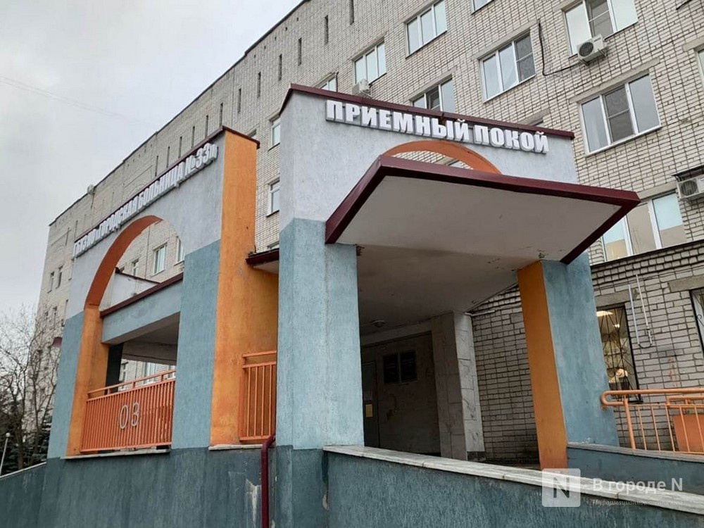 Змеи напали на восьмерых человек в Нижегородской области - фото 1