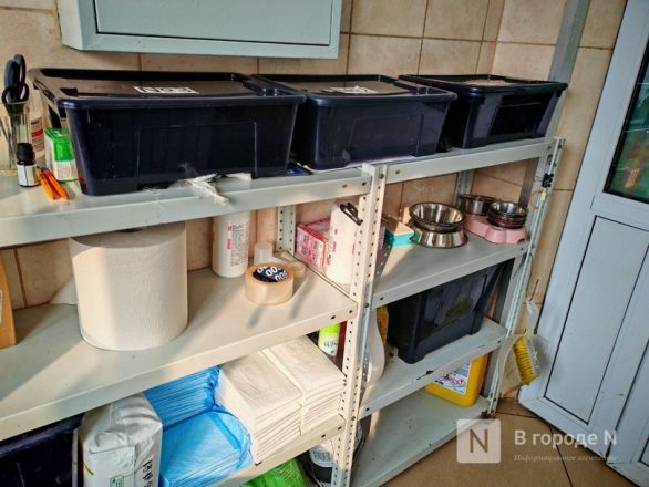 Брошенные человеком. Трогательный репортаж из приюта для бездомных животных в Нижнем Новгороде - фото 24