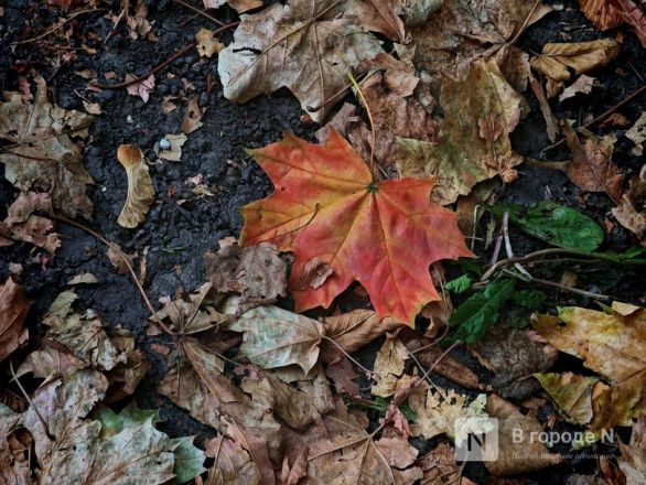 Та самая пушкинская осень: уютный фоторепортаж из Большого Болдина - фото 74