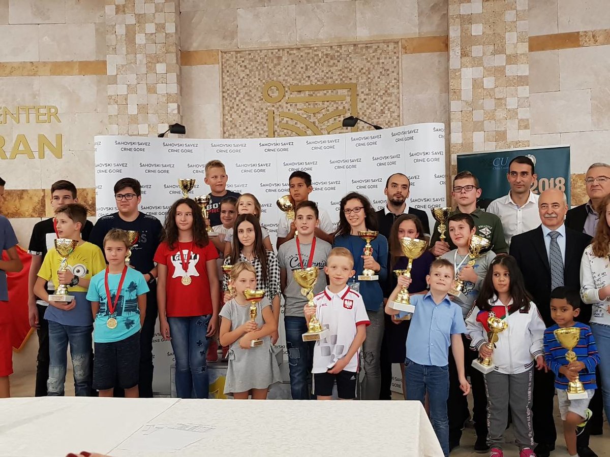 Нижегородские школьники завоевали шесть медалей на Кубке Европы по шахматам - фото 1