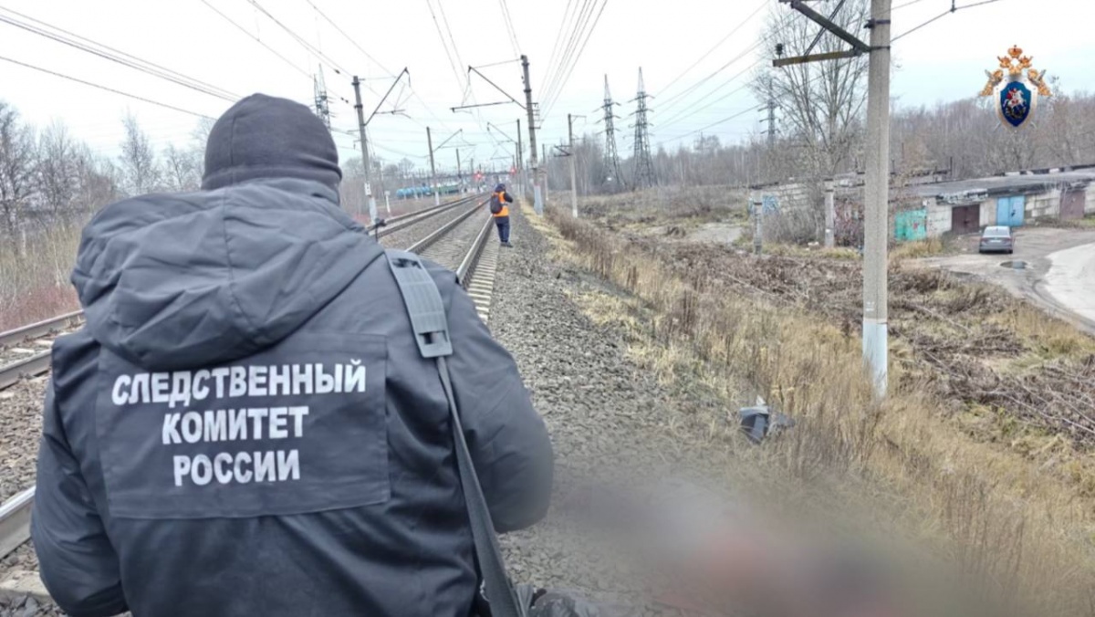 Пассажирский поезд насмерть сбил мужчину в Нижнем Новгороде  - фото 1