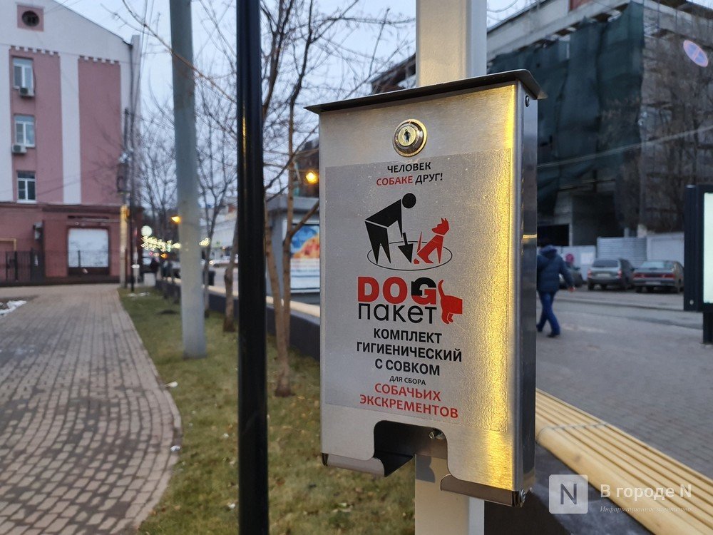 Не менее 13 площадок для выгула собак необходимы Нижнему Новгороду - фото 1