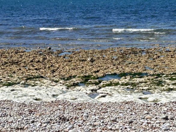 Восторг, бомжи и невкусная еда: нижегородка рассказала об удивительном путешествии в Париж - фото 79