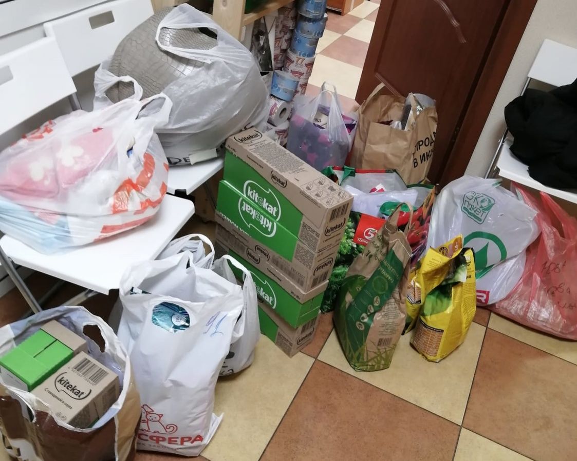 Жители Приокского района собрали 120 кг кормов для животных из приютов