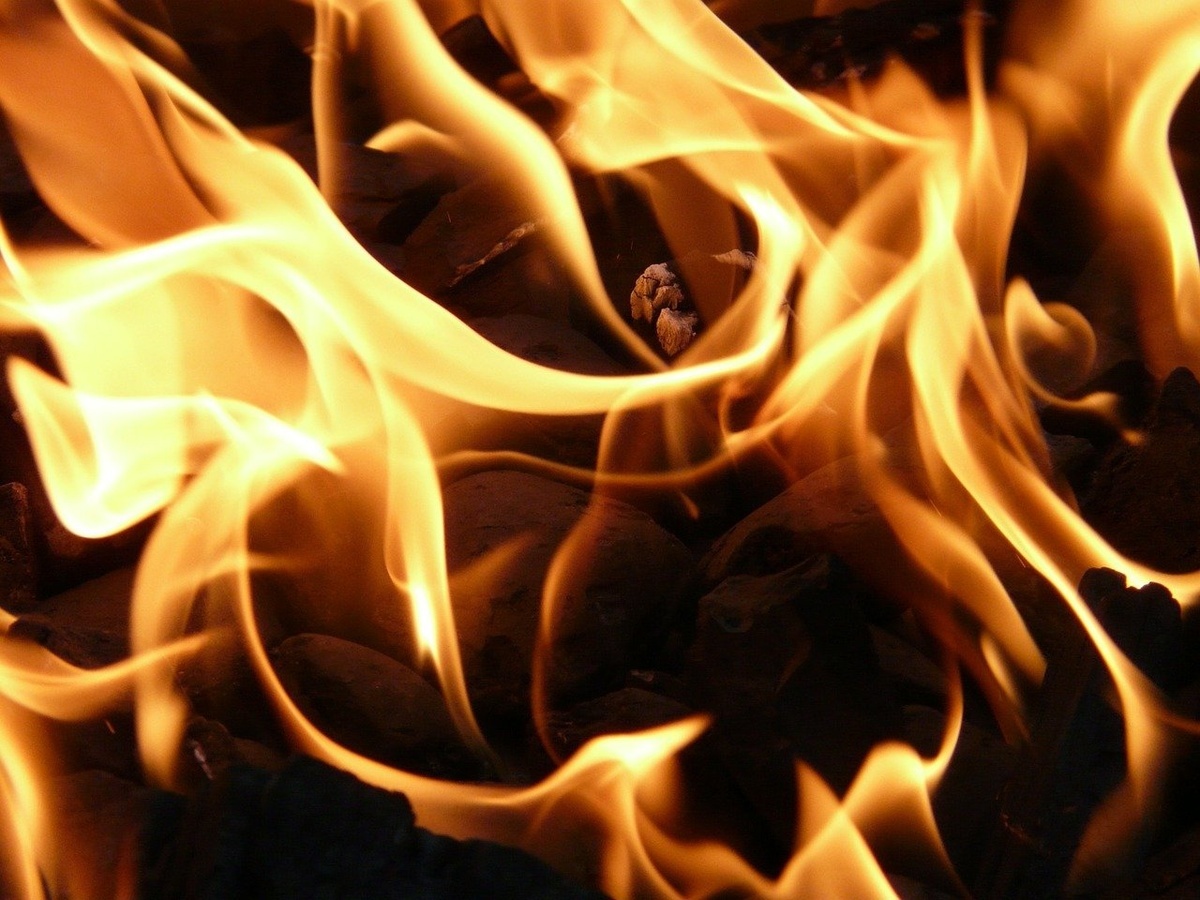 Десятки могил сгорели на пожаре в Богородске из-за пала сухой травы