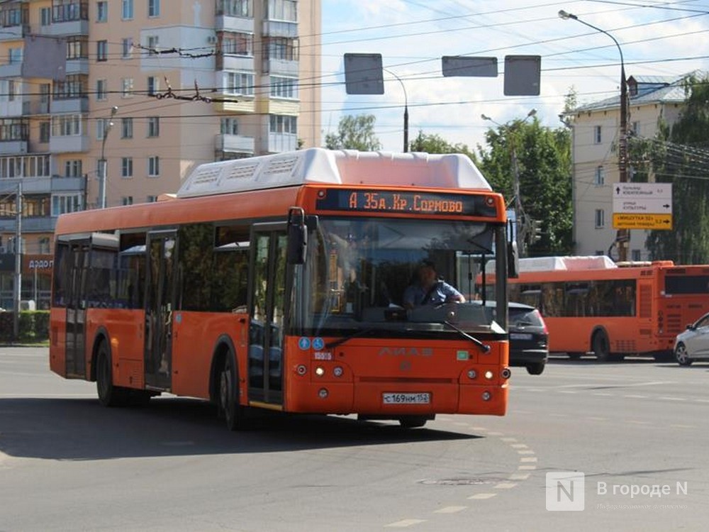 Перевозчиков на два нижегородских автобусных маршрута ищут за 165 млн рублей - фото 1