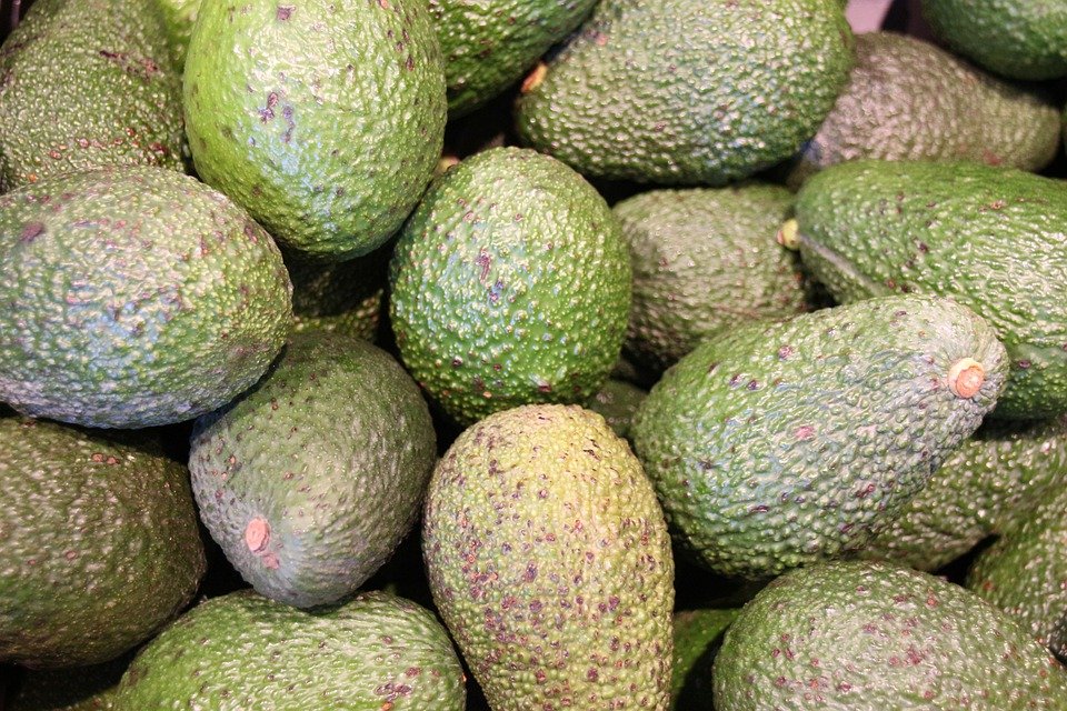 Эти 4 факта об авокадо вас удивят - фото 2