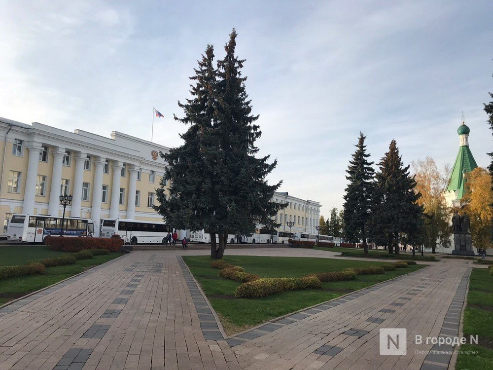 Региональный совет появится в Нижегородской области - фото 1