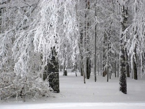 Две месячные нормы осадков выпало в Нижнем Новгороде в феврале