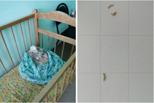 Руководство детской больнице в Дзержинске не обнаружило опарышей в постельном белье - фото 1