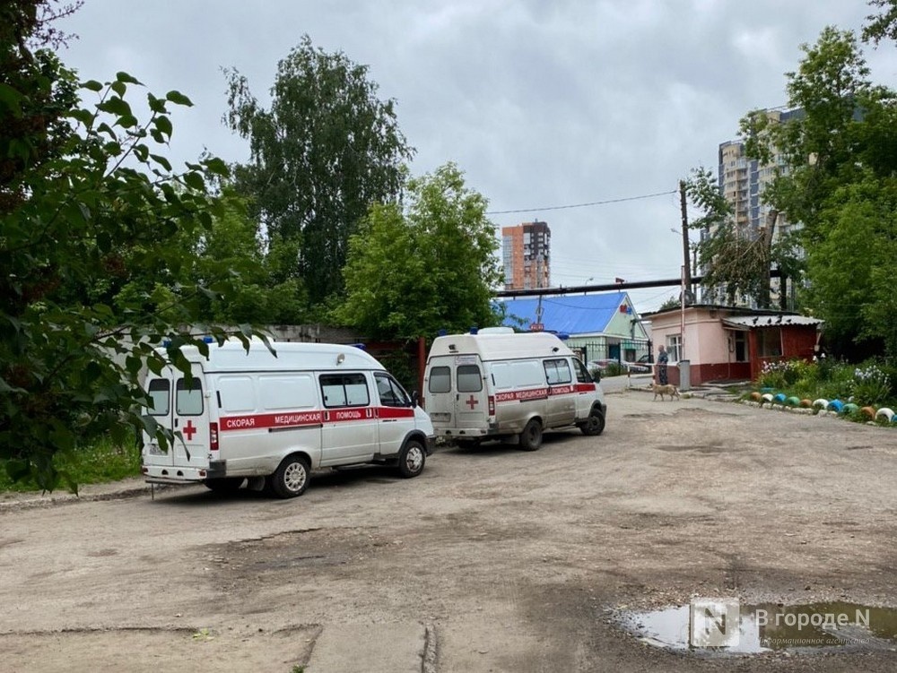 Четыре человека, в том числе два ребенка, пострадали в Городецком районе - фото 1