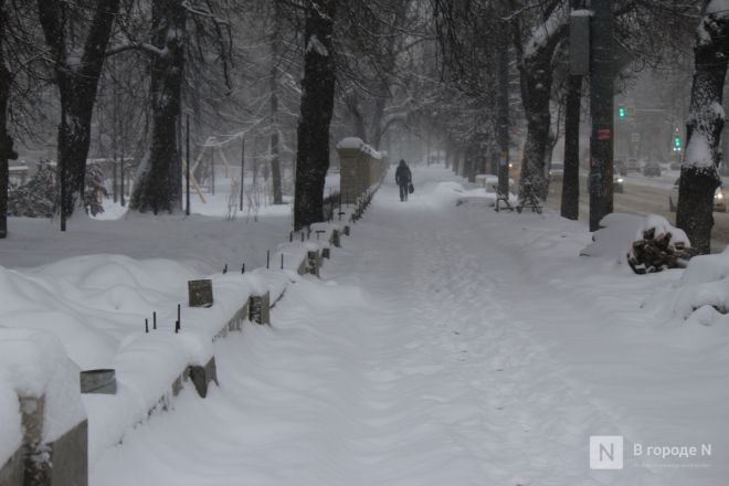 Благоустройство нижегородского парка Кулибина снова не закончено в срок - фото 13