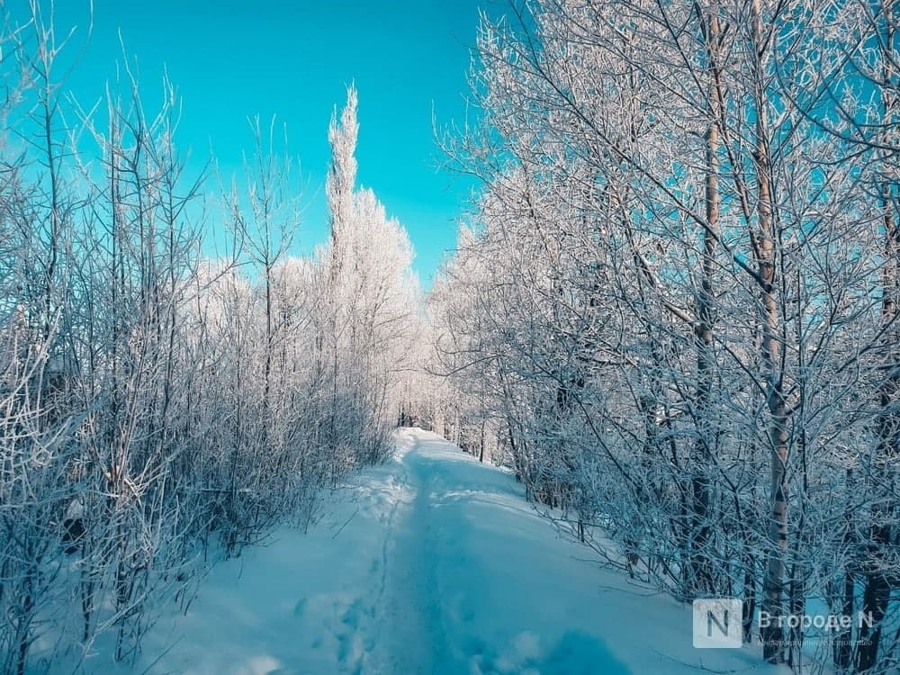 Морозы до -32 &deg;С ожидаются в Нижегородской области 19 января - фото 1