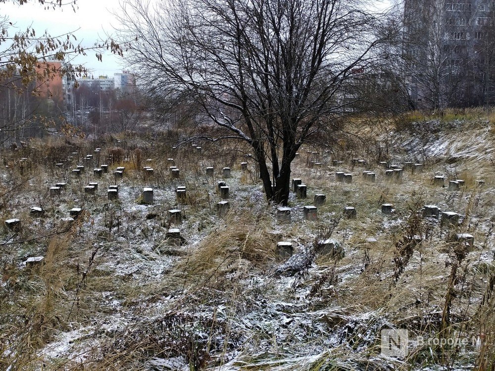 Лопатинский овраг нижний новгород фото