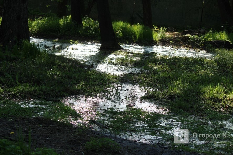 Парк имени 1 Мая снова затопило в Нижнем Новгороде - фото 1