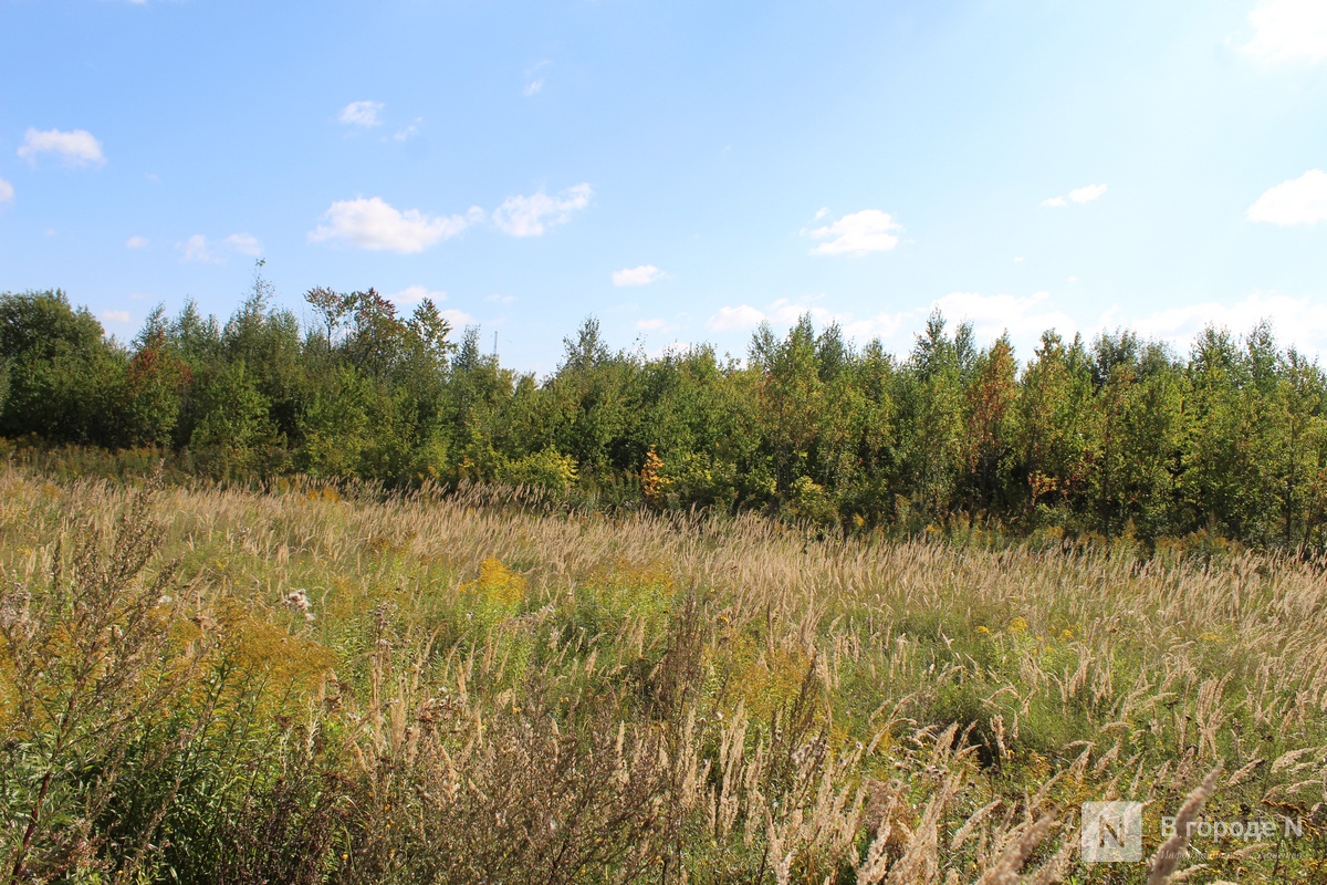&laquo;Не хотим дышать пылью&raquo;: почему разгорелся скандал вокруг строительства склада Wildberries в Новинках и что будет дальше - фото 9
