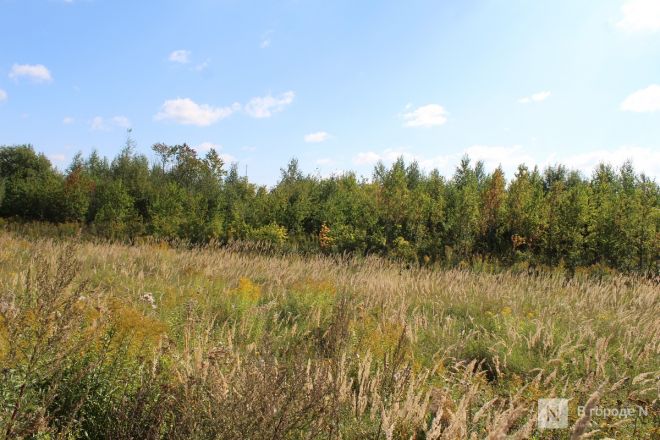 Нижегородцам показали, где будет построен огромный склад Wildberries - фото 3