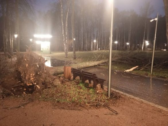 Ураган повалил деревья и заборы в Нижнем Новгороде: публикуем фото - фото 2