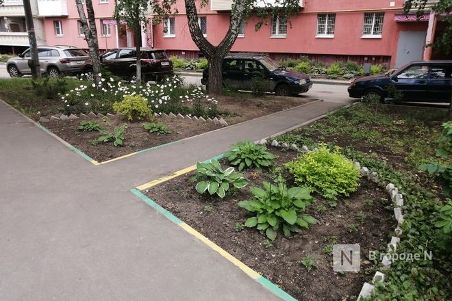 Пять самых красивых дворов Автозавода показали нижегородцам - фото 25