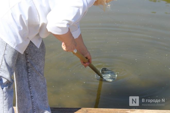 Как проверяют воду перед пляжным сезоном в Нижнем Новгороде &mdash; фото - фото 5