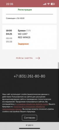 Рейс Нижний Новгород &mdash; Ереван перенесли девять раз 8 августа - фото 4