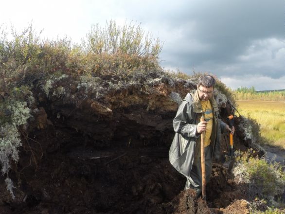 Доказать открытие кратера Тунгусского метеорита смогли учёные Мининского университета  - фото 2