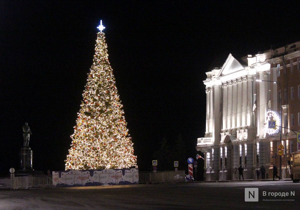 Новогодние флаги и постеры в Нижнем Новгороде обойдутся в 5,7 млн рублей - фото 1