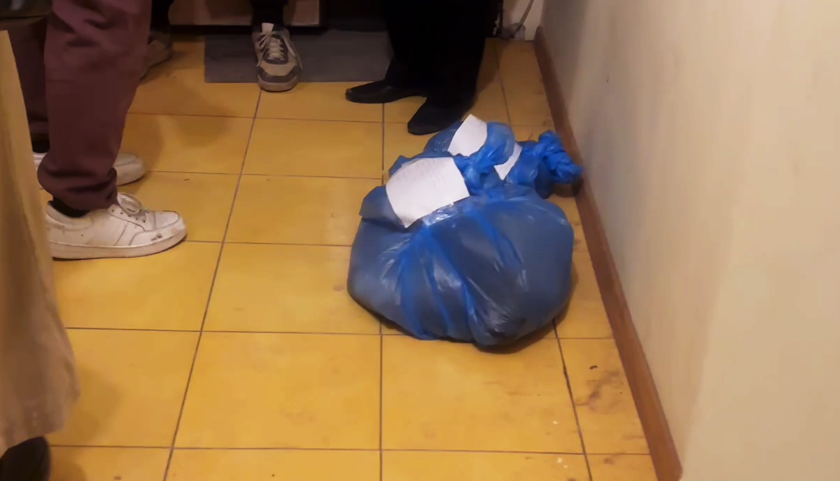 Еще одну квартиру с мертвыми котятами обнаружили в Нижнем Новгороде - фото 1