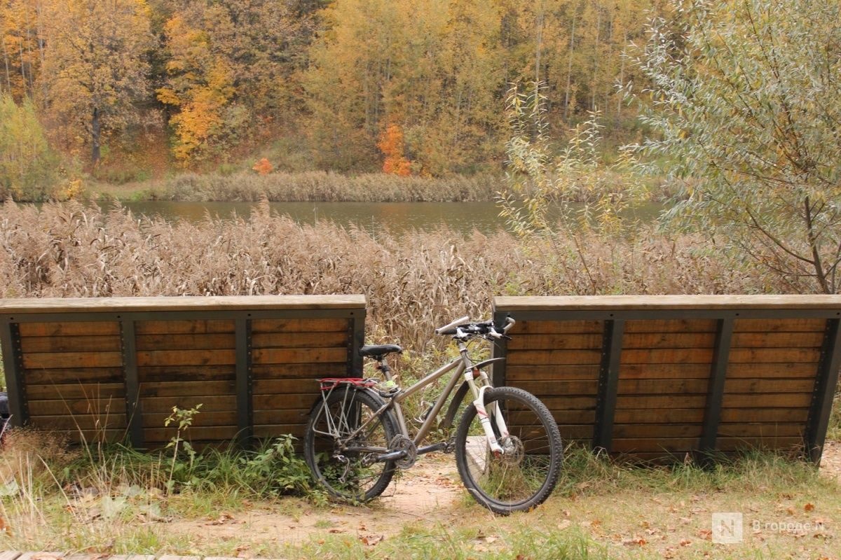 Опубликован прогноз погоды в Нижнем Новгороде на 20 &mdash; 26 октября - фото 1
