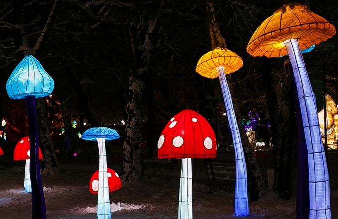 25 световых инсталляций украсят нижегородский парк Свердлова - фото 3