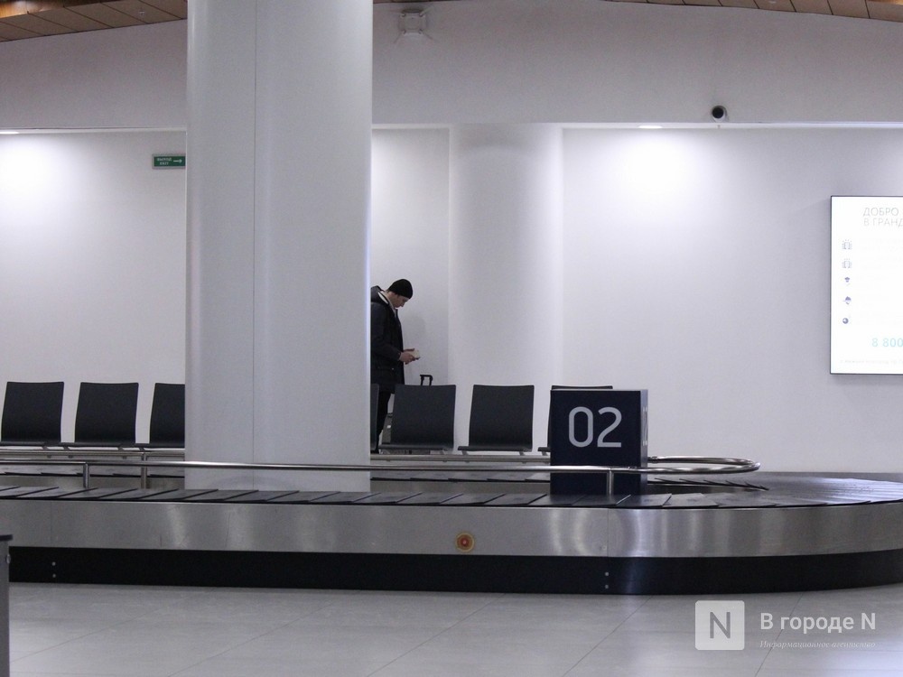 Почти 5 кг опасного риса сожгли в нижегородском аэропорту - фото 1